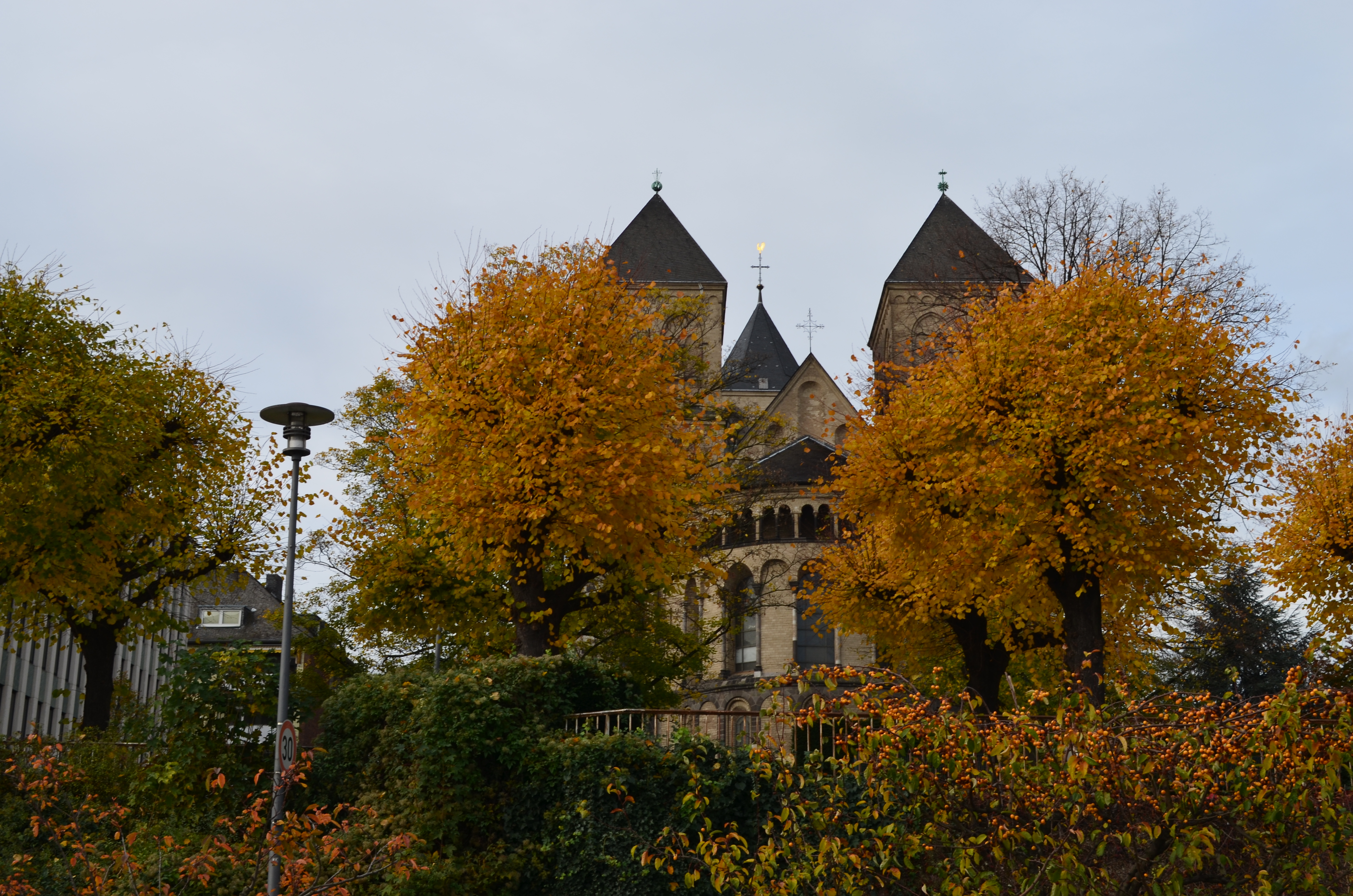 ./2017/19 - Viking Lif/11 - Cologne, Germany/DSC_0125.JPG